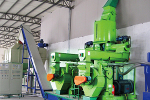 complete wood pellet line