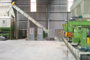 wood pelleting plant